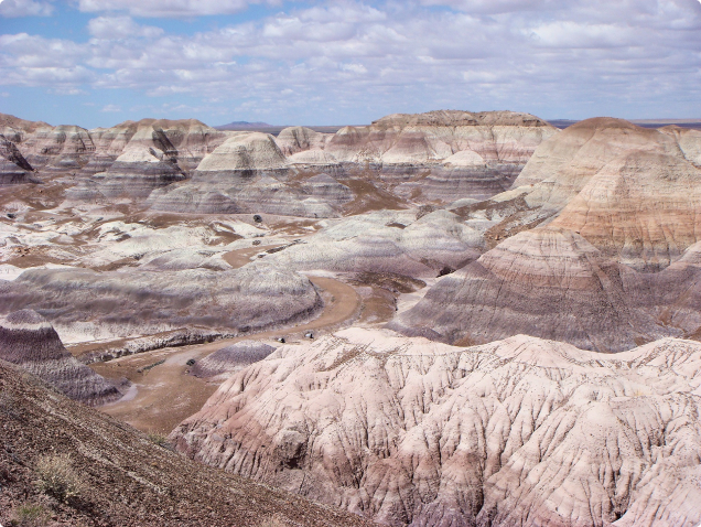 Petrified Forest National Park